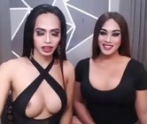 Live sexchat with  transsexual - longhugeselfsucker, sex chat in somewhere over the rainbow