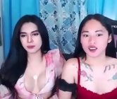 Free sex cam
 with cumface transsexual - urwildshane, sex chat in asian ts for you