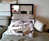 Nassobout's Live Straight Boy Cam Sex